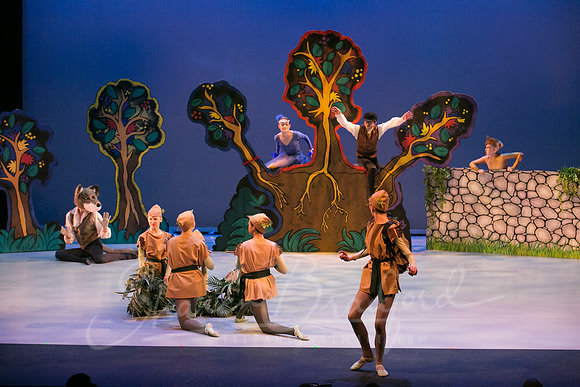 Peter and the Wolf Sat 2018 pc Sharen Bradford-0433