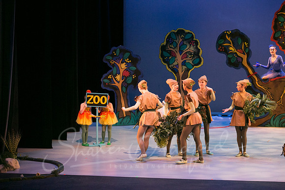 Peter and the Wolf Sat 2018 pc Sharen Bradford-0436