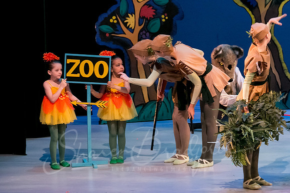 Peter and the Wolf Sat 2018 pc Sharen Bradford-0438
