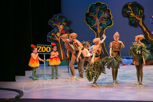 Peter and the Wolf Sat 2018 pc Sharen Bradford-0439