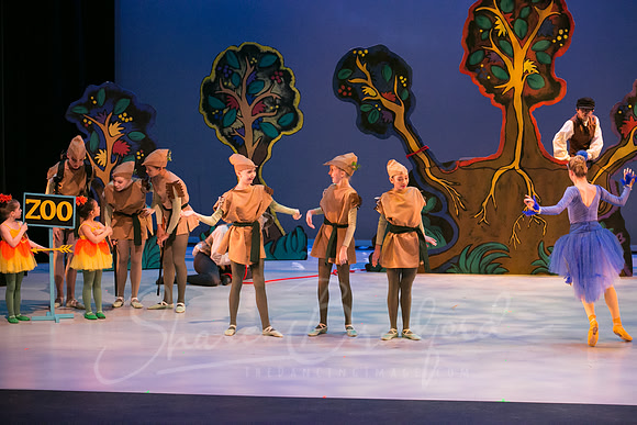 Peter and the Wolf Sat 2018 pc Sharen Bradford-0446