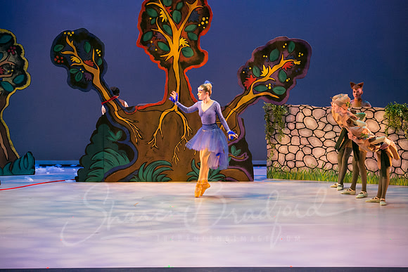 Peter and the Wolf Sat 2018 pc Sharen Bradford-0449