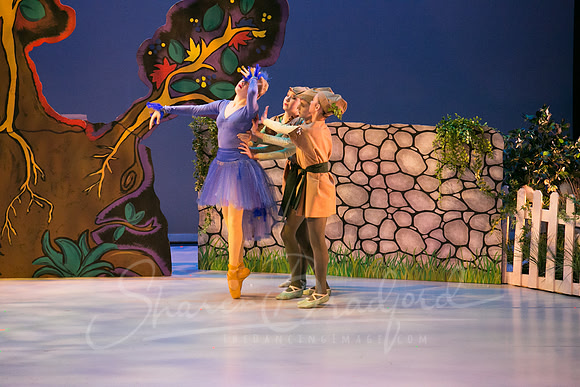 Peter and the Wolf Sat 2018 pc Sharen Bradford-0452