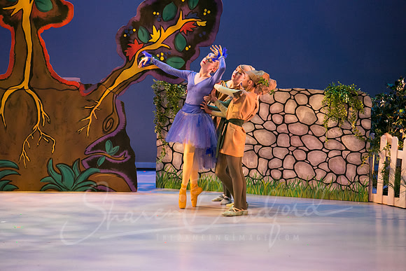 Peter and the Wolf Sat 2018 pc Sharen Bradford-0453