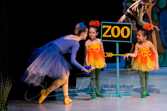 Peter and the Wolf Sat 2018 pc Sharen Bradford-0458