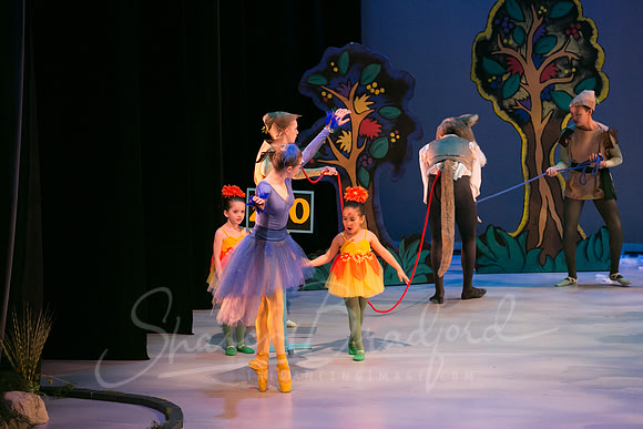 Peter and the Wolf Sat 2018 pc Sharen Bradford-0459