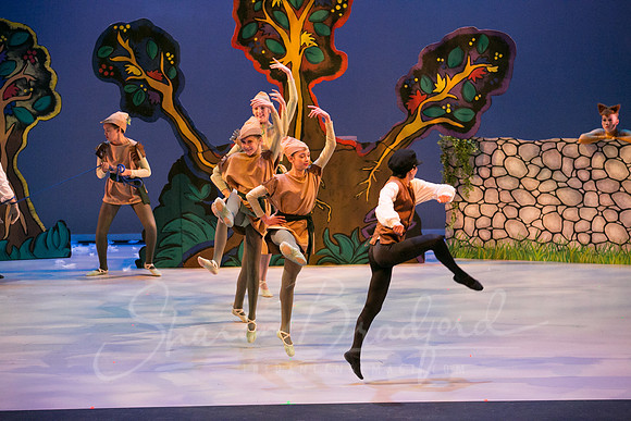 Peter and the Wolf Sat 2018 pc Sharen Bradford-0460