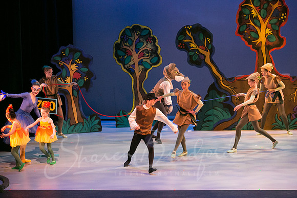 Peter and the Wolf Sat 2018 pc Sharen Bradford-0465