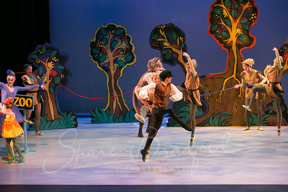 Peter and the Wolf Sat 2018 pc Sharen Bradford-0466