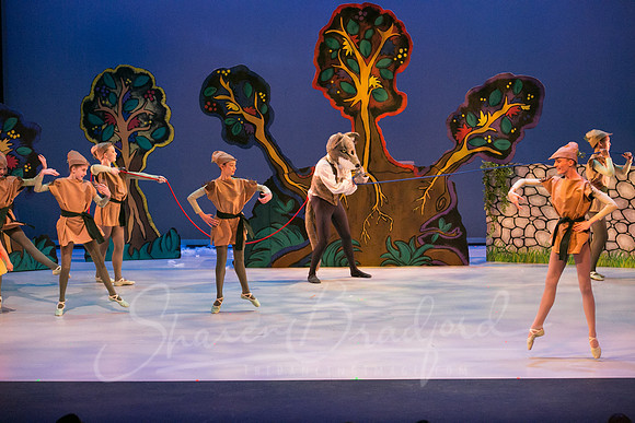 Peter and the Wolf Sat 2018 pc Sharen Bradford-0473