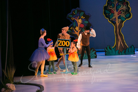 Peter and the Wolf Sat 2018 pc Sharen Bradford-0479