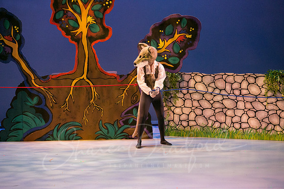 Peter and the Wolf Sat 2018 pc Sharen Bradford-0482