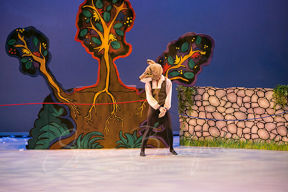 Peter and the Wolf Sat 2018 pc Sharen Bradford-0483