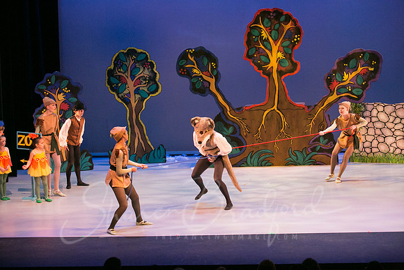 Peter and the Wolf Sat 2018 pc Sharen Bradford-0492