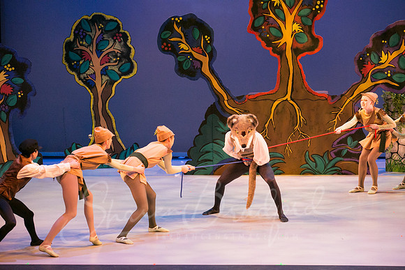 Peter and the Wolf Sat 2018 pc Sharen Bradford-0495