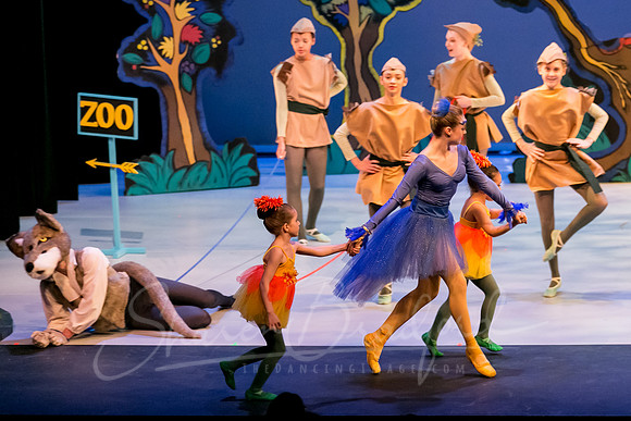 Peter and the Wolf Sat 2018 pc Sharen Bradford-0507