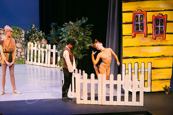 Peter and the Wolf Sat 2018 pc Sharen Bradford-0517
