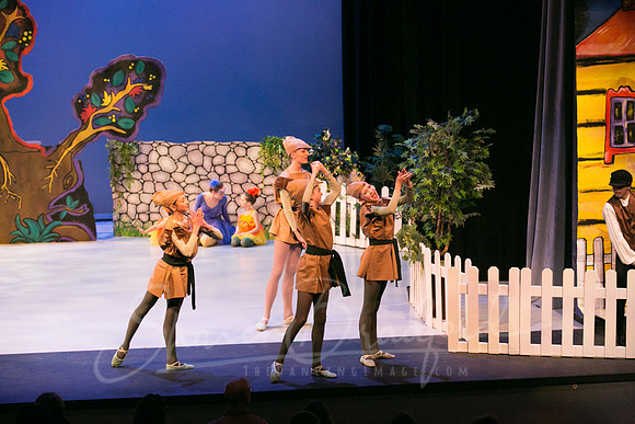 Peter and the Wolf Sat 2018 pc Sharen Bradford-0520