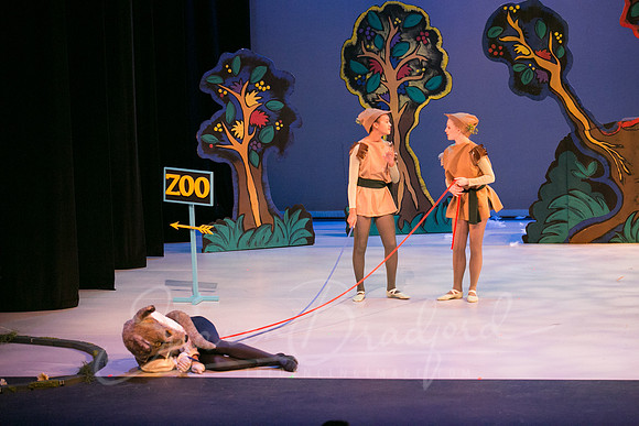 Peter and the Wolf Sat 2018 pc Sharen Bradford-0521