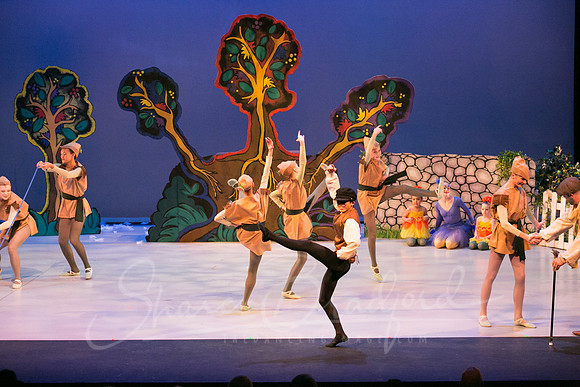 Peter and the Wolf Sat 2018 pc Sharen Bradford-0528