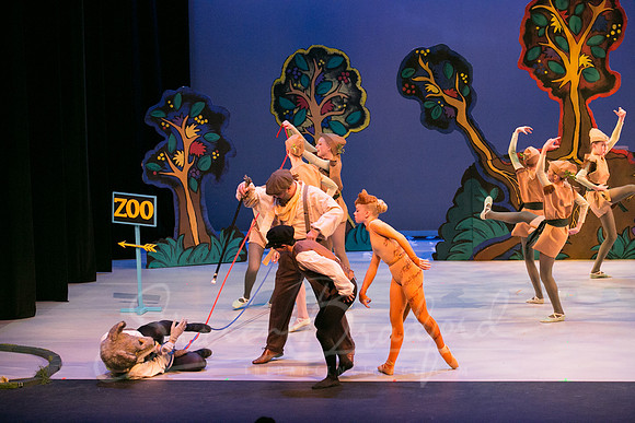Peter and the Wolf Sat 2018 pc Sharen Bradford-0533