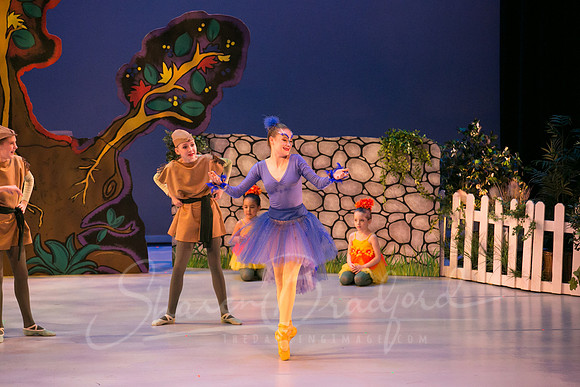 Peter and the Wolf Sat 2018 pc Sharen Bradford-0535