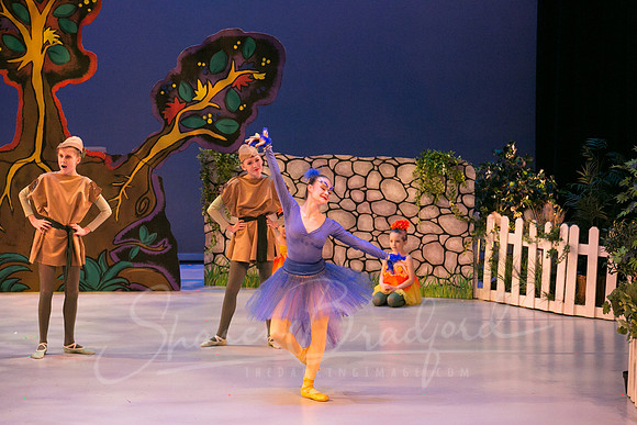 Peter and the Wolf Sat 2018 pc Sharen Bradford-0541
