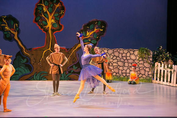 Peter and the Wolf Sat 2018 pc Sharen Bradford-0542