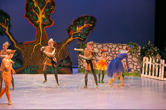Peter and the Wolf Sat 2018 pc Sharen Bradford-0545