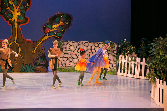 Peter and the Wolf Sat 2018 pc Sharen Bradford-0546