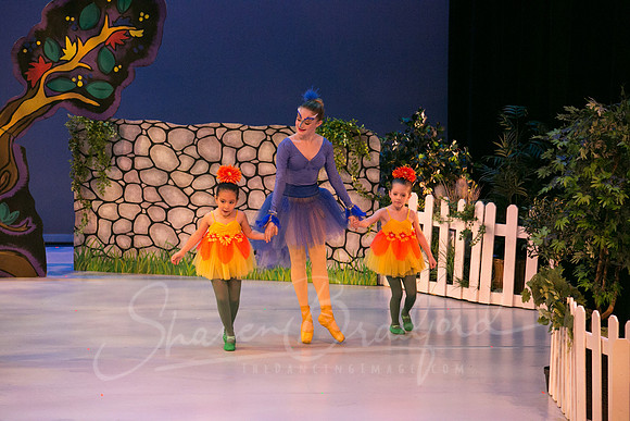 Peter and the Wolf Sat 2018 pc Sharen Bradford-0547