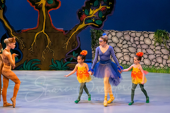 Peter and the Wolf Sat 2018 pc Sharen Bradford-0548