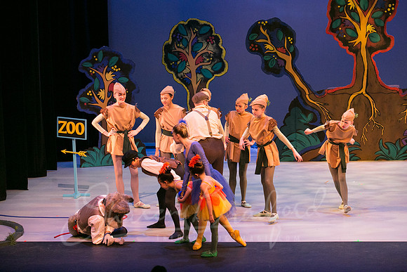 Peter and the Wolf Sat 2018 pc Sharen Bradford-0552