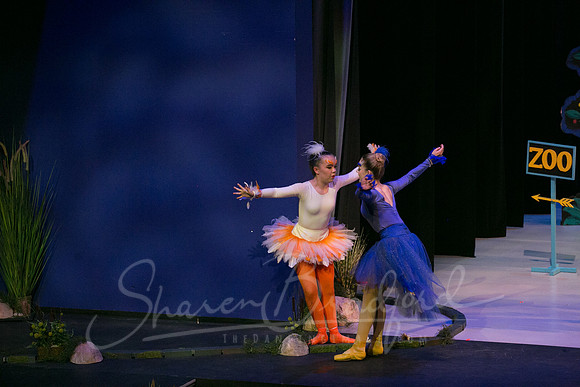 Peter and the Wolf Sat 2018 pc Sharen Bradford-0566