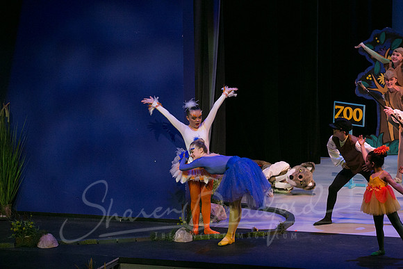 Peter and the Wolf Sat 2018 pc Sharen Bradford-0568