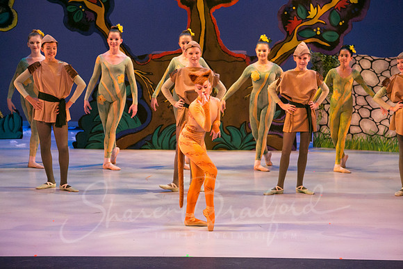 Peter and the Wolf Sat 2018 pc Sharen Bradford-0581