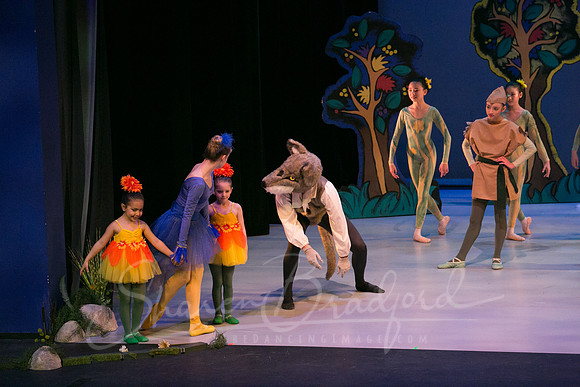 Peter and the Wolf Sat 2018 pc Sharen Bradford-0593