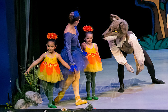 Peter and the Wolf Sat 2018 pc Sharen Bradford-0594