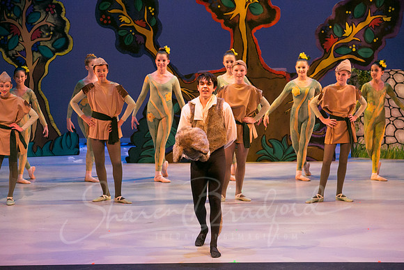 Peter and the Wolf Sat 2018 pc Sharen Bradford-0598
