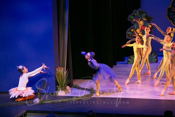SKB_2953