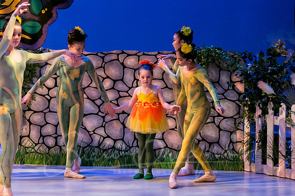 Peter & the Wolf pc Sharen Bradford-3141