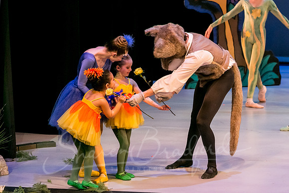 Peter & the Wolf pc Sharen Bradford-3488