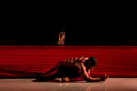 DBDT Encore-8631