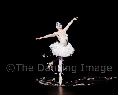 Dying Swan-0538