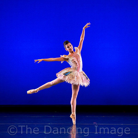 Texas Ballet Theater-1373