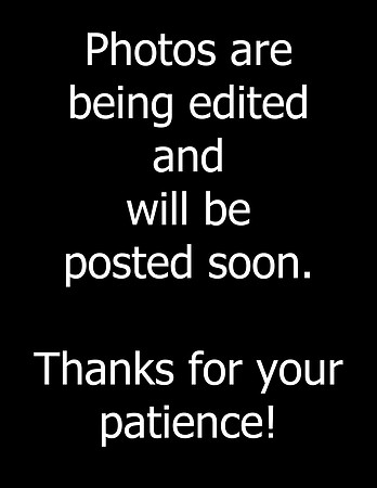 Photos coming soon