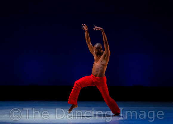 Alvin Ailey ADT-0067