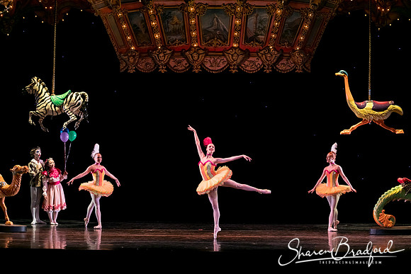 Nutcracker eve pc Sharen Bradford-7144