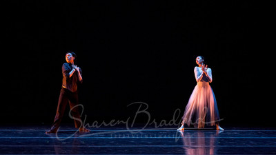 Beyond the Smoke pc Sharen Bradford-8240