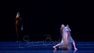 Beyond the Smoke pc Sharen Bradford-8359